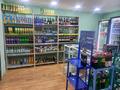Магазины и бутики • 160 м² за 40 млн 〒 в Темиртау — фото 9