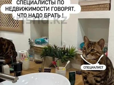 3-бөлмелі пәтер · 105 м² · 5/9 қабат, Жибек Жолы 81, бағасы: 88 млн ₸ в Алматы, Алмалинский р-н