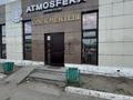 Еркін · 295.6 м², бағасы: 140 млн ₸ в Жанаарка