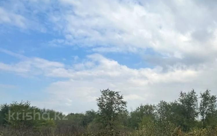 Жер телімі · 5.8 сотық, ПК им.Тимирязева, бағасы: 900 000 ₸ в Затобольске (Тобыле) — фото 2