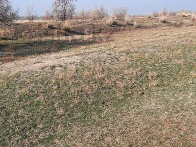 Участок · 30 га, Кырбалтабай за 7 млн 〒