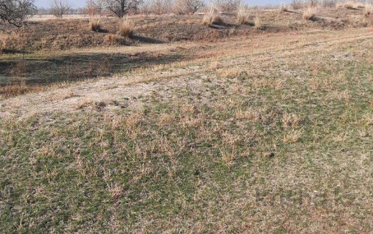 Участок · 30 га, Кырбалтабай за 7 млн 〒 — фото 6
