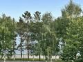 3-бөлмелі пәтер · 75 м² · 4/10 қабат, Славского 22 — Прогресс, бағасы: 30 000 ₸ в Усть-Каменогорске — фото 16
