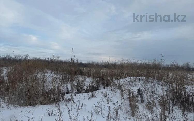 Участок · 450 соток, Алтынсаринский за 35 млн 〒 в Алтынсарино (Камыстинский район) — фото 2