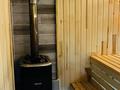 Отдельный дом · 4 комнаты · 300 м² · 10 сот., ул. Карасу 36А за 25 млн ₸ в Жамбылской обл. — фото 23