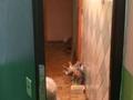 3-комнатная квартира · 62.4 м² · 1/5 этаж, Массив Телецентр 9 — Сатпаева-Колбасшы-койгельды за 13.7 млн ₸ в Таразе — фото 5