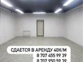 Свободное назначение, офисы, склады, образование, развлечения, кабинеты и рабочие места, студии · 40 м² за 150 000 ₸ в Астане, Сарайшык р-н — фото 5