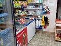 Дүкендер мен бутиктер · 25 м², бағасы: 16 млн ₸ в Астане, Алматы р-н — фото 6