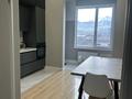 1-бөлмелі пәтер · 50 м² · 12/12 қабат, Басенова 10 — Гагарина басенова, бағасы: 450 000 ₸ в Алматы, Бостандыкский р-н — фото 8