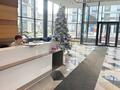 1-бөлмелі пәтер · 50 м² · 12/12 қабат, Басенова 10 — Гагарина басенова, бағасы: 450 000 ₸ в Алматы, Бостандыкский р-н — фото 24