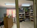Свободное назначение · 175 м² за 53.6 млн ₸ в Уральске — фото 11