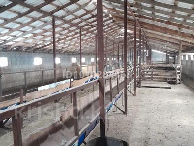 Сельское хозяйство · 990 м² за 150 млн 〒 в М. Туймебаеве