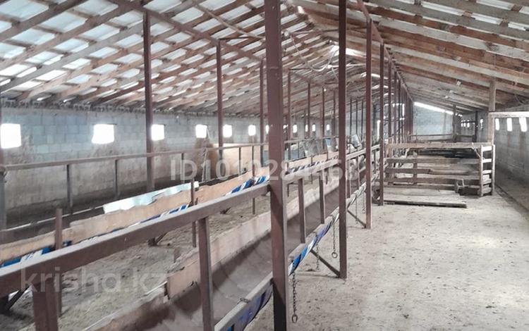 Сельское хозяйство · 990 м² за 150 млн 〒 в М. Туймебаеве — фото 2