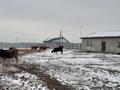 Сельское хозяйство · 990 м² за 150 млн 〒 в М. Туймебаеве — фото 12