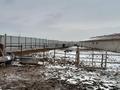 Сельское хозяйство · 990 м² за 150 млн 〒 в М. Туймебаеве — фото 4