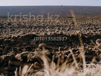 Участок · 300 га, Шенгельдийский сельский округ за 3 млн ₸ в Конаеве