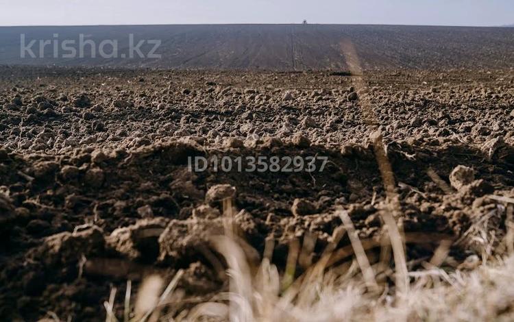 Участок · 300 га, Шенгельдийский сельский округ за 3 млн ₸ в Конаеве — фото 2
