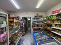 Магазины и бутики · 46 м² за ~ 25 млн ₸ в Астане, Сарайшык р-н — фото 12