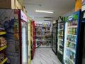 Магазины и бутики · 46 м² за ~ 25 млн ₸ в Астане, Сарайшык р-н — фото 13