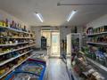 Магазины и бутики · 46 м² за ~ 25 млн ₸ в Астане, Сарайшык р-н — фото 5