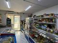 Магазины и бутики · 46 м² за ~ 25 млн ₸ в Астане, Сарайшык р-н — фото 7