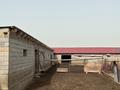 Сельское хозяйство · 600 м² за 26 млн ₸ в Туркестанской обл., Шаян — фото 5