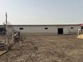 Сельское хозяйство · 600 м² за 26 млн ₸ в Туркестанской обл., Шаян — фото 12
