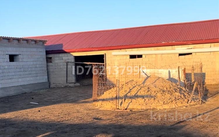 Сельское хозяйство · 600 м² за 26 млн ₸ в Туркестанской обл., Шаян — фото 7