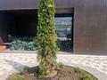 4-комнатная квартира · 163.43 м² · 3/3 этаж, мкр Рахат, Култобе за 303 млн ₸ в Алматы, Наурызбайский р-н — фото 3