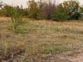 Участок · 10.5 соток, Тр, Костанай-Аулиеколь-Сурган 58 за 11 млн ₸ в Мичуринское — фото 8