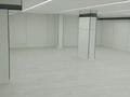 Еркін · 184 м², бағасы: 1.5 млн ₸ в Астане, Алматы р-н — фото 29