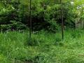 Жеке үй · 2 бөлме · 32 м² · 13.7 жүзд., Пенсионеры 7, бағасы: 5.4 млн ₸ в  — фото 10