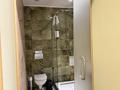 1-комнатная квартира · 25 м² · 2/5 этаж, Назарбаева 248/1 за 300 000 ₸ в Алматы, Медеуский р-н — фото 9