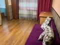 4-комнатная квартира · 60.1 м² · 3/5 этаж, мкр 5, Тургенева — находится возле цона за 17.5 млн ₸ в Актобе — фото 5