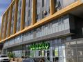 1-комнатная квартира · 45 м², Бараева 18/2 — Бараева Валиханова за 15 000 ₸ в Астане, р-н Байконур — фото 14