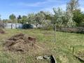Дача · 1 комната · 16 м² · 6 сот., Виноградная 5 — Сад Здоровье за 1.5 млн ₸ в Павлодаре — фото 9