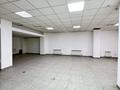 Еркін, кеңселер, дүкендер мен бутиктер, қоймалар, қоғамдық тамақтану орны, сұлулық салондары, медорталықтар мен дәріханалар, білім орталықтары, ойын-сауық · 215 м², бағасы: 105 млн ₸ в Астане, Сарайшык р-н — фото 8