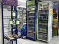 Действующий магазин · 100 м² за 4.5 млн ₸ в Астане, Нура р-н — фото 9