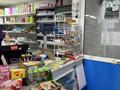 Действующий магазин · 100 м² за 4.5 млн ₸ в Астане, Нура р-н — фото 2