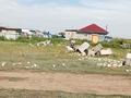 Участок · 8 соток, Мандарин 714 за 2.5 млн ₸ в Астане, р-н Байконур — фото 10