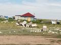 Участок · 8 соток, Мандарин 714 за 2.5 млн ₸ в Астане, р-н Байконур — фото 12