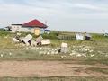 Участок · 8 соток, Мандарин 714 за 2.5 млн ₸ в Астане, р-н Байконур — фото 13