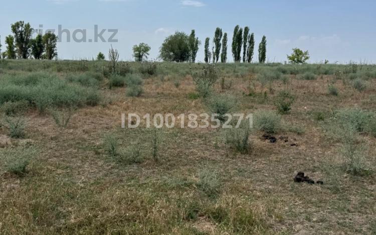 Участок · 3.25 га, Гульдала за 265 млн 〒 — фото 3