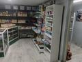 Отдельный дом · 6 комнат · 180 м² · 5 сот., Западная 14 Б за 55 млн ₸ в Есик — фото 18