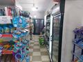Магазины и бутики · 250 м² за 220 млн ₸ в Шымкенте, Енбекшинский р-н — фото 24