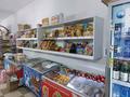 Магазины и бутики · 250 м² за 220 млн ₸ в Шымкенте, Енбекшинский р-н — фото 27