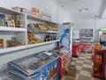 Магазины и бутики · 250 м² за 220 млн ₸ в Шымкенте, Енбекшинский р-н — фото 31