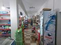 Магазины и бутики · 250 м² за 220 млн ₸ в Шымкенте, Енбекшинский р-н — фото 32