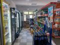 Магазины и бутики · 250 м² за 220 млн ₸ в Шымкенте, Енбекшинский р-н — фото 33
