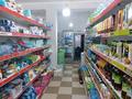 Магазины и бутики · 250 м² за 220 млн ₸ в Шымкенте, Енбекшинский р-н — фото 45